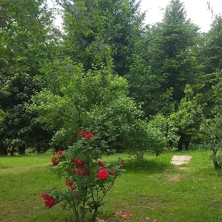 La Casa Della Quercia *