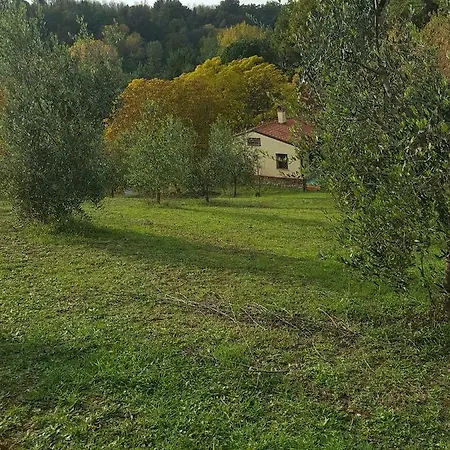 La Casa Della Quercia * Lorenzana